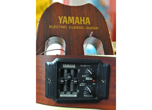 Yamaha APX6NA (32264)