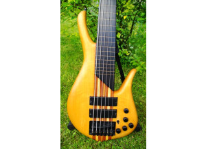 PRS Bass IV (32267)