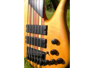 PRS Bass IV (52551)