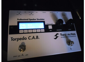 Two Notes Audio Engineering Torpedo C.A.B. (Cabinets in A Box) (69736)