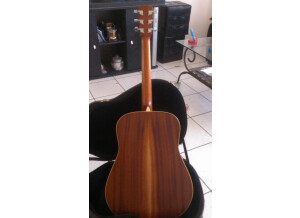 Larrivée D-03E (58412)