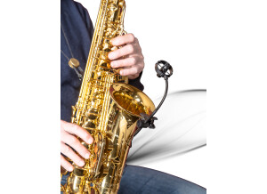 Micro Instrument Prodipe SB21 Lanen Sax, Brass & Percussion