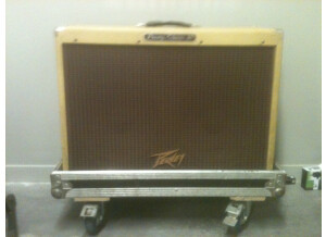 Peavey Classic 50/212 (Discontinued) (27259)