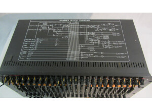 Roland M-480R (96698)