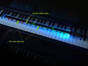 Eowave Ribbon