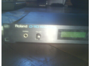 Roland D110
