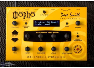 Dave Smith Instruments Mopho (37960)