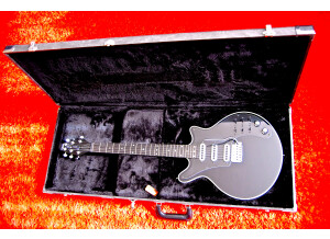 Burns Guitars Brian May (13593)