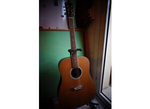 Tanglewood TW28 CLN (39372)