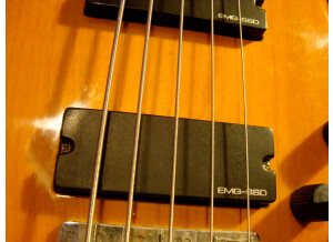 Spector Performer 5 (6226)