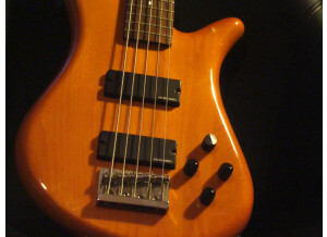 Spector Performer 5 (52675)