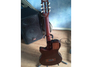 Godin Multiac Series - Grand Concert Duet Ambiance