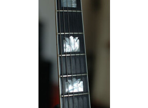 Gibson Nighthawk Custom (41673)