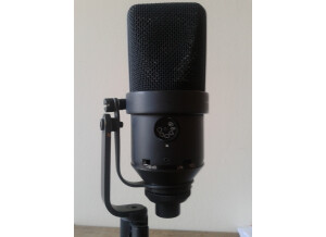 Neumann TLM 170 (29998)