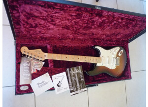 Fender VG Stratocaster - Sunburst Maple