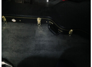 Epiphone Zakk Wylde Camo Les Paul Custom Plus