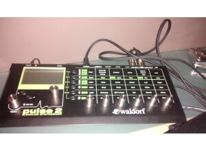 Waldorf Pulse 2 (24109)