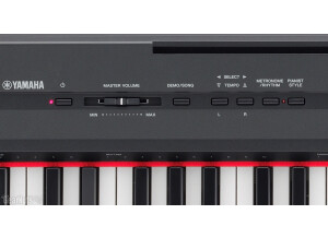 Yamaha P-105B