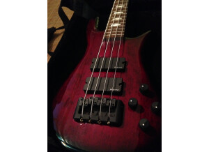 Spector ReBop 4 DLX (73109)