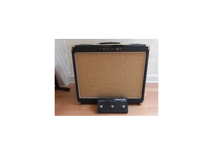 Tech 21 Trademark 60 1x12 (24280)