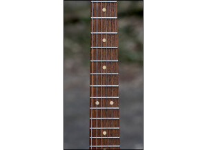 Tom Anderson Drop Top Classic (18869)