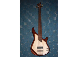 Sandberg (Bass) Custom Thinline 5-string