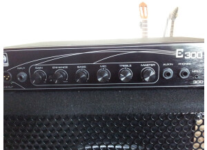 Eden Electronics E300