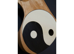 Victor Wooten Bow Bass 10