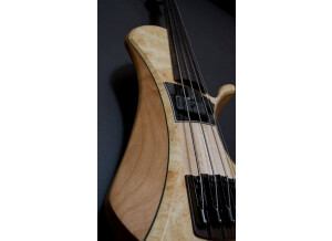 Victor Wooten Bow Bass 7