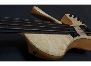 Victor Wooten Bow Bass 3