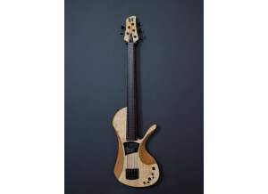 Victor Wooten Bow Bass