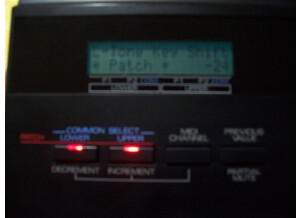 Roland PG-1000 Synth Programmer (80209)