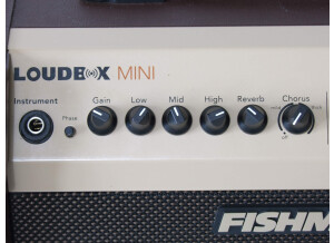 Fishman Loudbox Mini (15631)