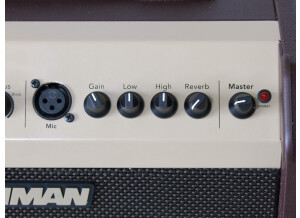 Fishman Loudbox Mini (22069)