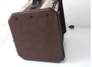 Fishman Loudbox Mini (24403)