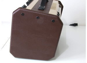 Fishman Loudbox Mini (44479)