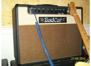 Bad Cat Hot Cat 30 (77411)