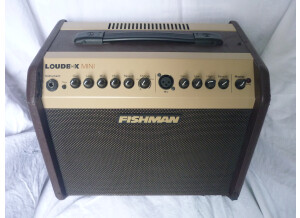 Fishman Loudbox Mini (60041)
