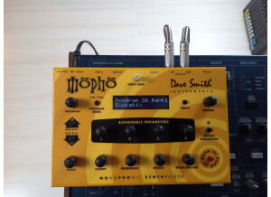 Dave Smith Instruments Mopho (97243)