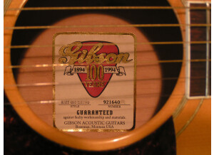 Gibson Blues King Electro 100th anniversary 1994