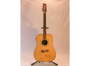 Tacoma Guitars DR20 (54374)