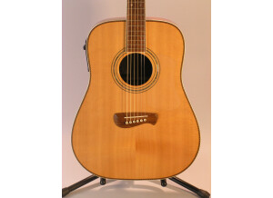 Tacoma Guitars DR20 (63021)