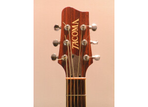Tacoma Guitars DR20 (15080)