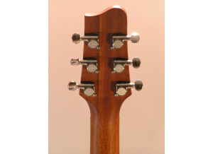 Tacoma Guitars DR20 (69133)