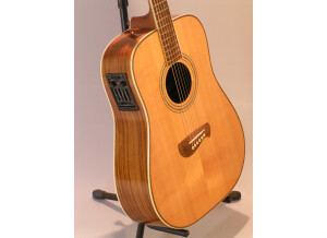 Tacoma Guitars DR20 (95458)