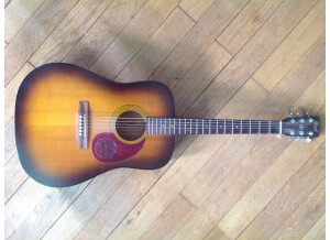 Cort Earth 100 - Sunburst