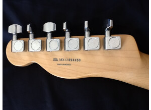 Fender Standard Telecaster - Lake Placid Blue Maple