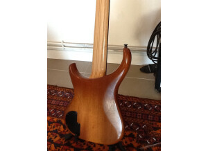 Alembic Orion