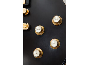 Gibson Les Paul Studio Raw Power - Satin Trans Ebony (57552)