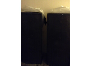 Turbosound TXD252 (50104)